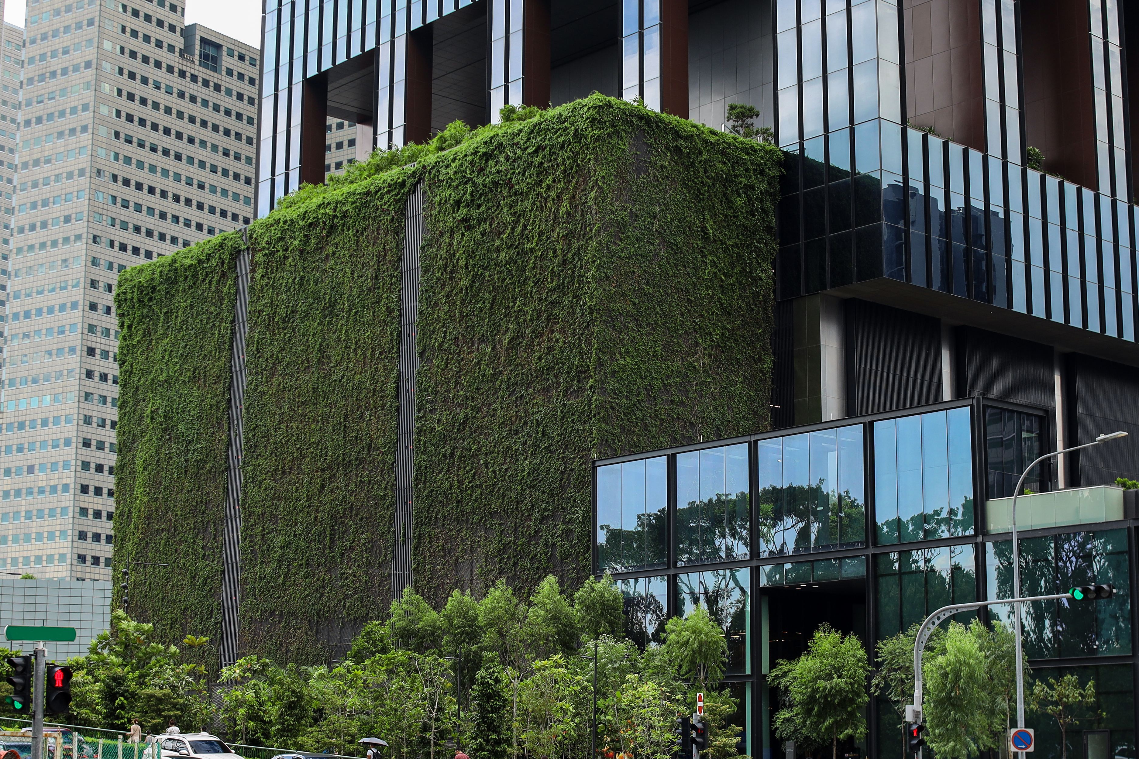 vertical garden